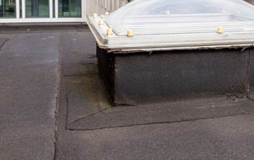 disadvantages of Thunder Hill flat roofs