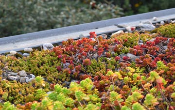 the cost of Thunder Hill green roof installation