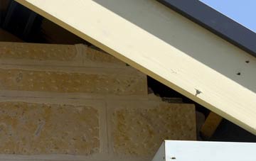 soffit repair Thunder Hill