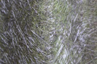 Thunder Hill fibreglass roof work